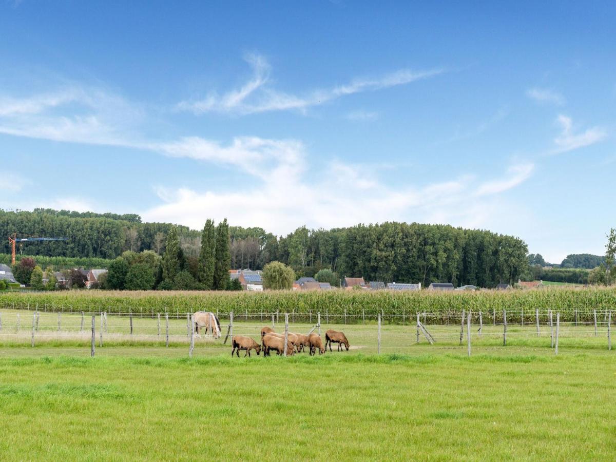 Stunning Holiday Home In Oombergen With Terrace And Garden Zottegem Exteriér fotografie
